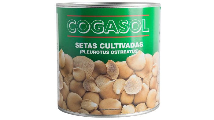 SETAS ENTERAS 1ª COGASOL 3 KG